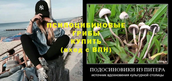 прущие крисы Абинск