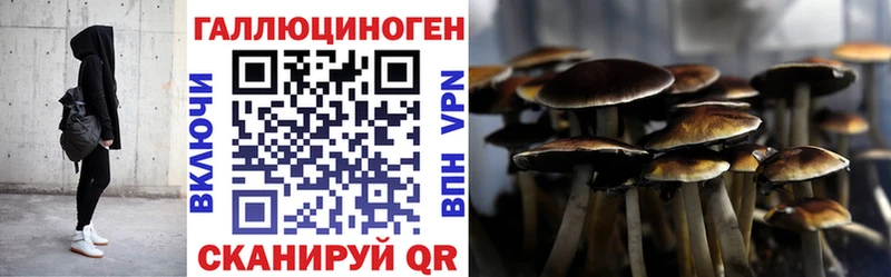 Псилоцибиновые грибы MAGIC MUSHROOMS kraken сайт Судогда