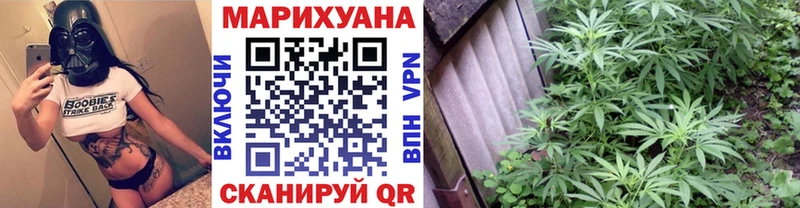 shop Telegram цены Судогда Каннабис OG Kush